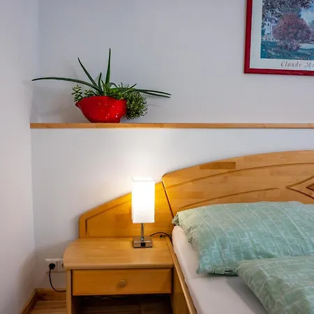 Haus Prodinger アパート Weisspriach